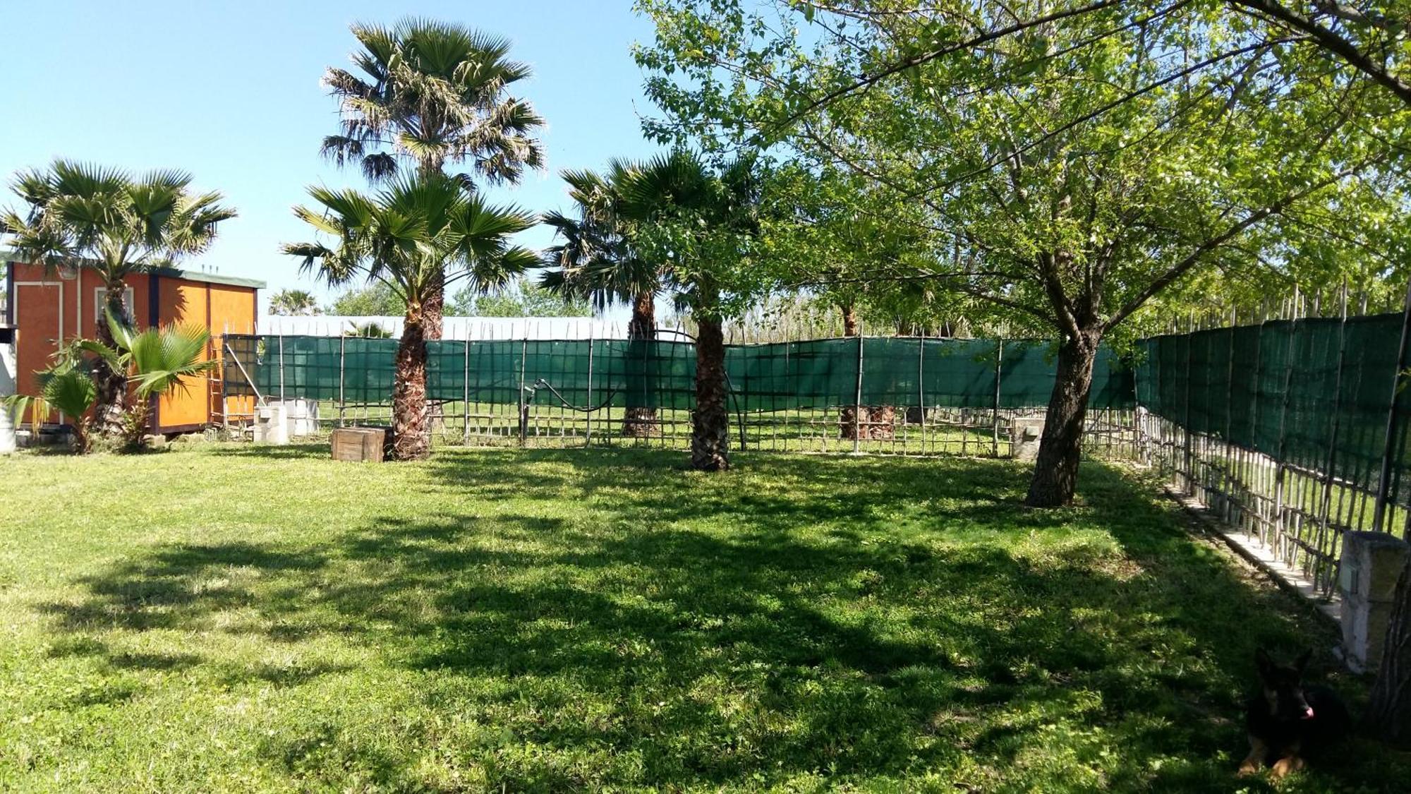 Villa Luna A Pochi Passi Dalla Spiaggia Avola Exterior photo